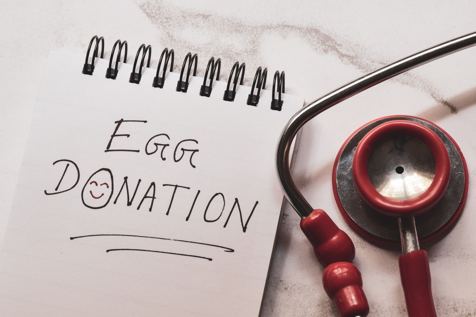 Top Considerations before becoming an Egg Donor