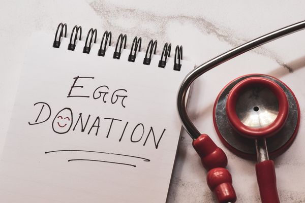Top Considerations before becoming an Egg Donor